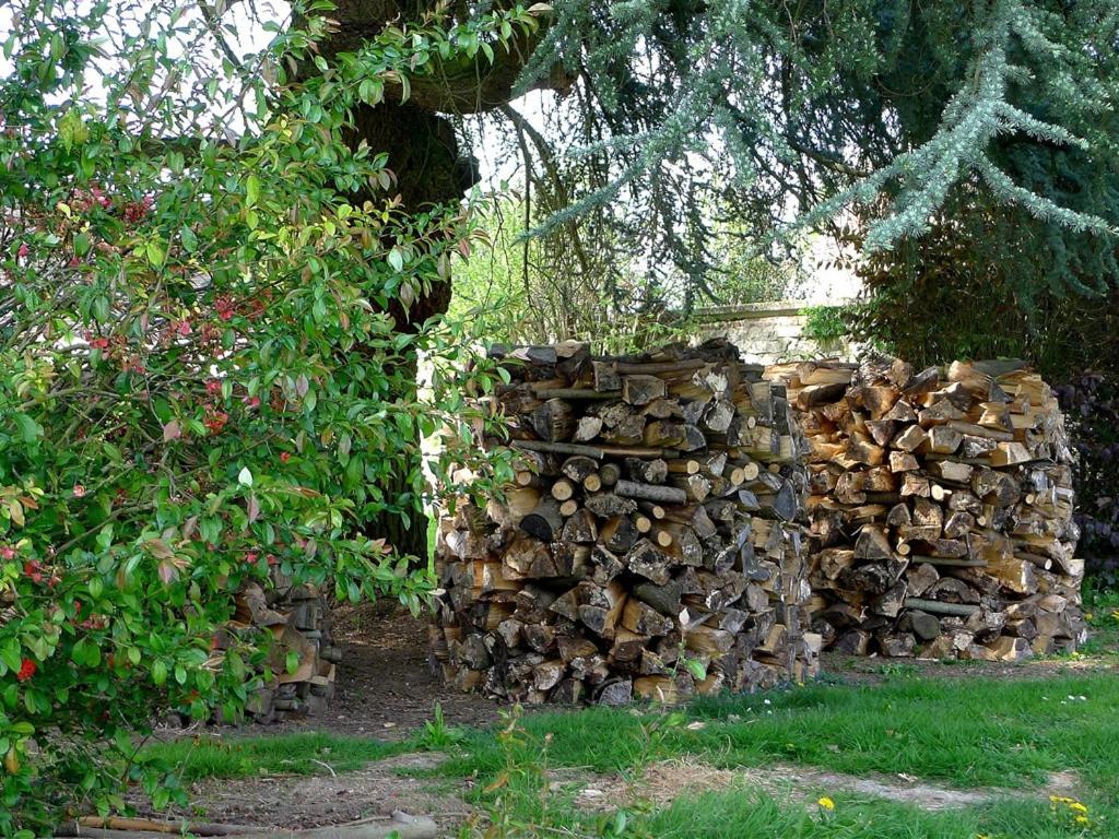 Le Sous-Bois B&B Moyenneville  Екстериор снимка